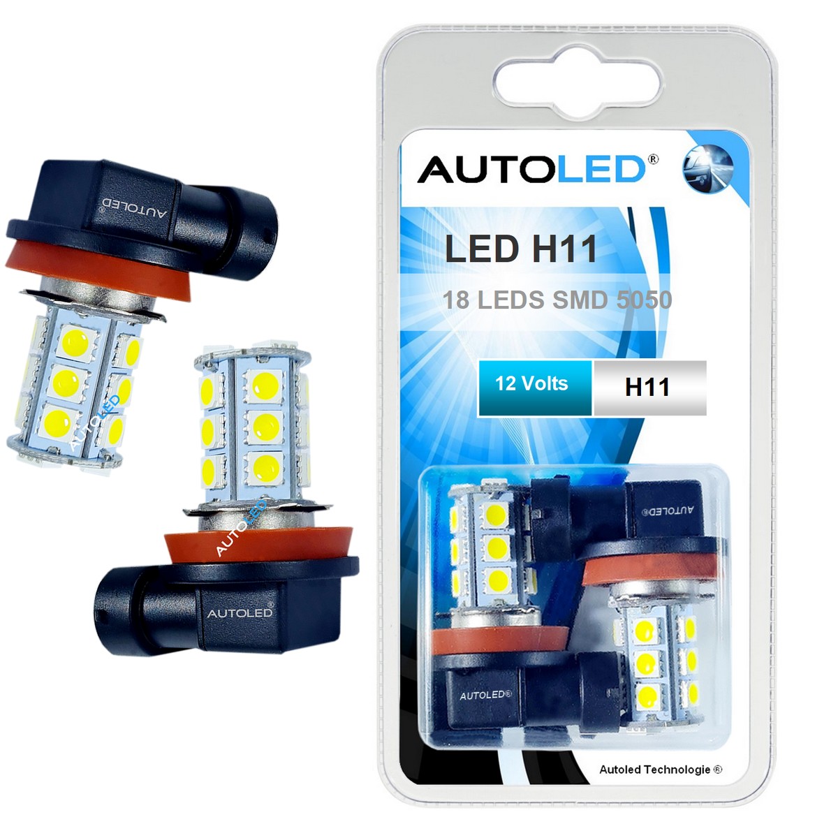 TLCS : Ampoule LED Répétiteur Clignotant, Eclairage TB 12 V x 2