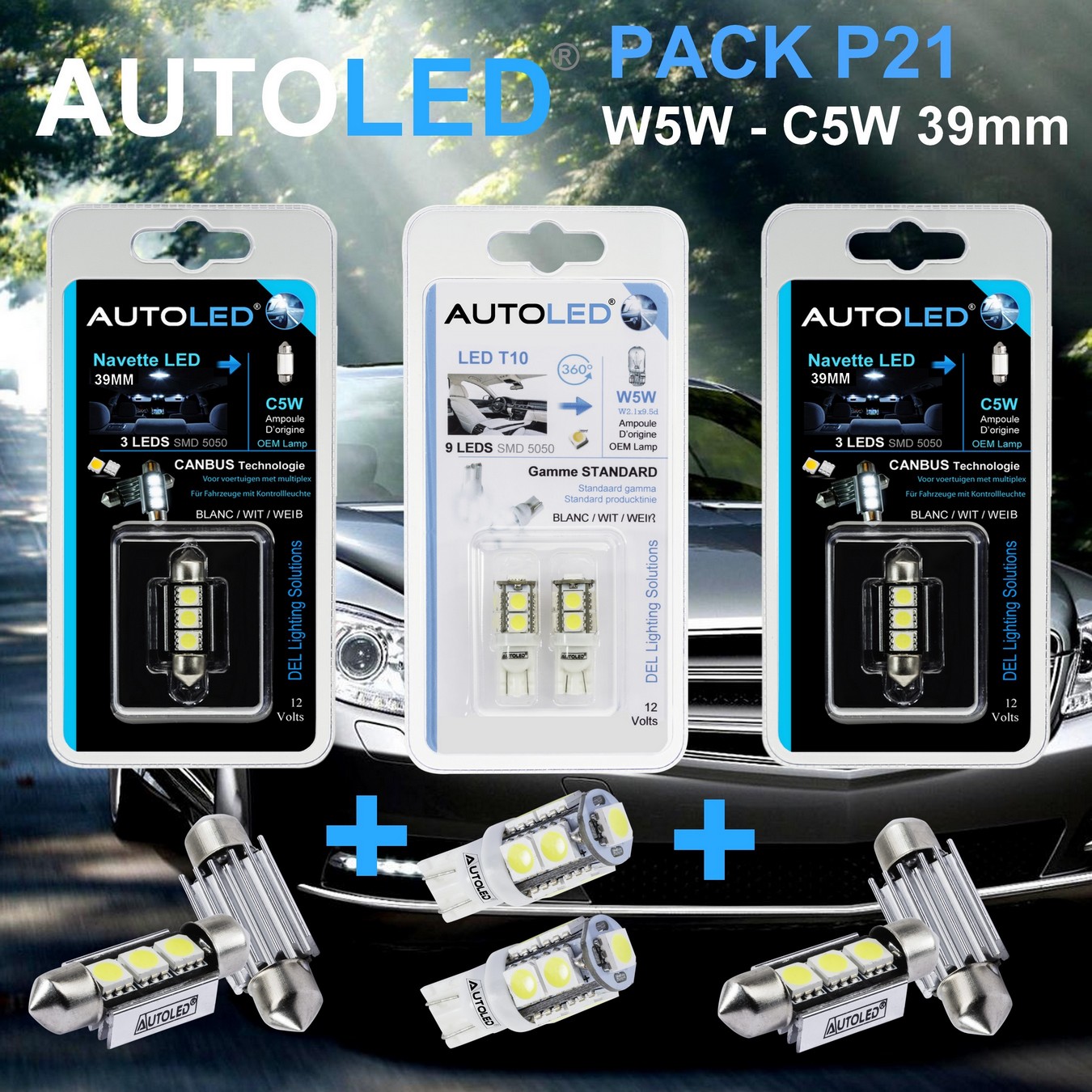 Pack 4 Ampoules LED blanc W5W (T10) + C5W / C10W 39mm