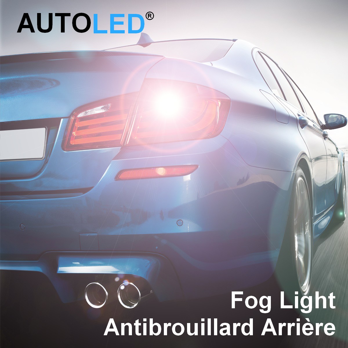 Ampoule Antibrouillard arrière LED - Sécurité & Visibilité - AUTOLED®